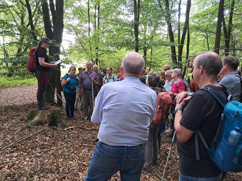 Auf dem Waldweg kommt die Gruppe kurz zum Halt, um einer Person beim Vorlesen und Erklären zu lauschen